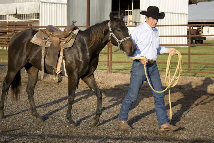 Equestrian Employment As Horse Trainer